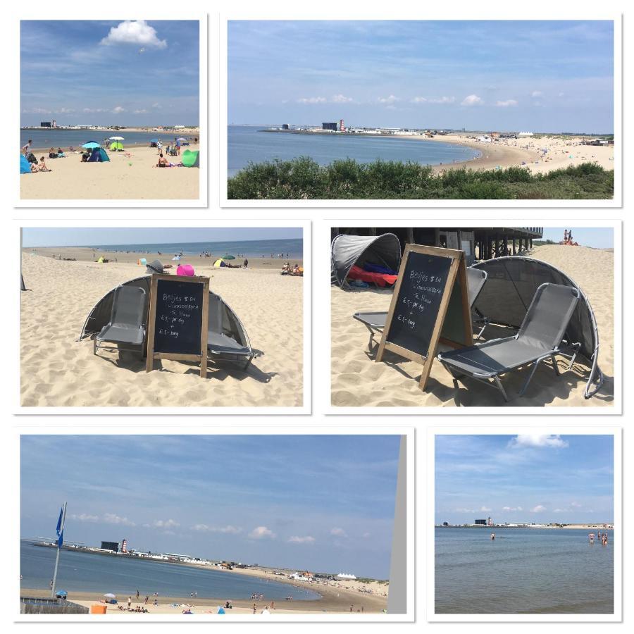 La Casa Aan Zee Διαμέρισμα Ellemeet Εξωτερικό φωτογραφία
